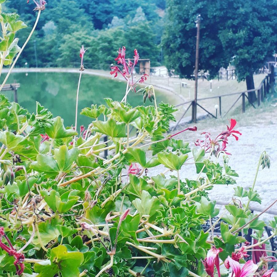 Taverna Del Dolmen Millesimo Zewnętrze zdjęcie